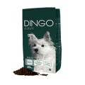 Dingo Adult & Daily