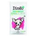 Dingo Toy & Daily