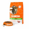 Iams Cat Adult Cordero