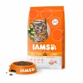 Iams Cat Adult Pollo