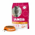 Iams Senior & Mature Con Pollo