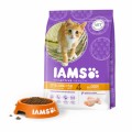 Iams Kitten Con Pollo