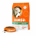 Iams Cat Adult Hairball