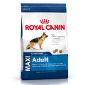 Royal Canin Maxi Adult