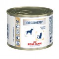 Royal Canin Recovery