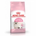 Royal Canin Kitten