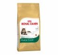 Royal Canin Maine Coon