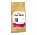 Royal Canin Persian Kitten