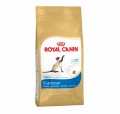 Royal Canin Siamese