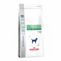 Royal Canin Dental Special Small Dog