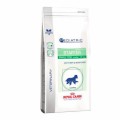 Royal Canin Pediatric Starter Small Dog