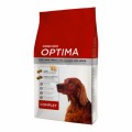 Optima Dog Complet 