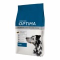 Optima Dog Fish