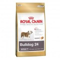 Royal Canin Bulldog Adult