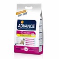 Advance Cat Senior