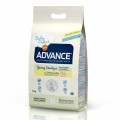 Advance Cat Youg Sterilized