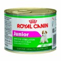 Royal Canin Mini Junior (lata)
