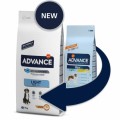 Advance Maxi Light