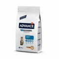 Advance Cat Adult Pollo Y Arroz