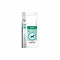 Royal Canin Adult Small Dog