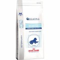 Royal Canin Vet Care Pediatric Starter Large Dog