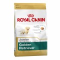 Royal Canin Golden Retriever Junior