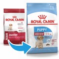 Royal Canin Medium Puppy