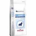 Royal Canin Pediatric Junior Large