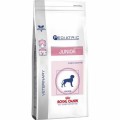 Royal Canin Pediatric Junior Razas Mediana