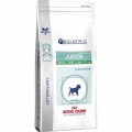 Royal Canin Pediatric Junior Small Dog